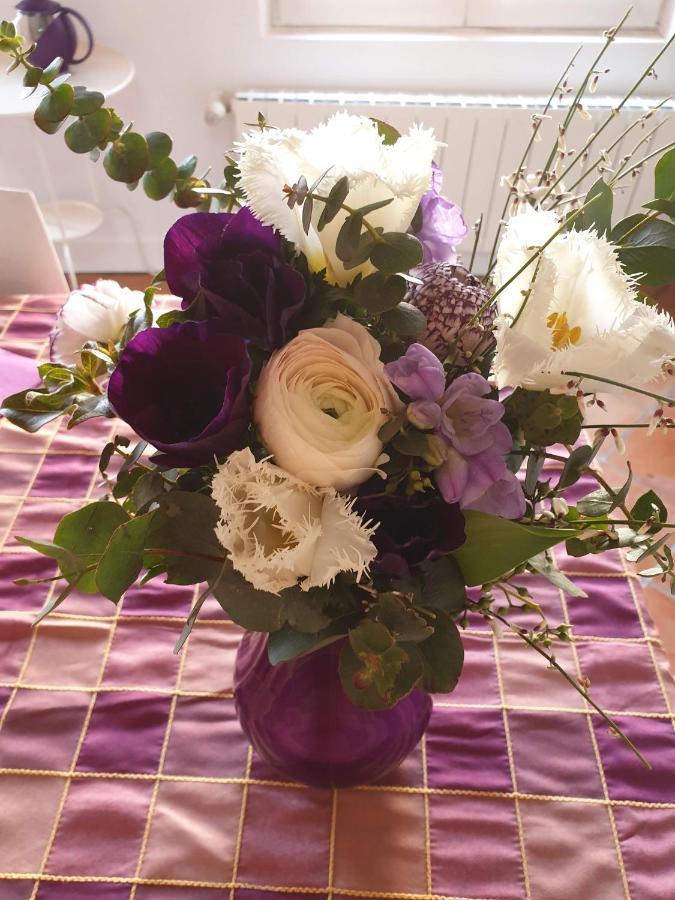 La Villa Des Violettes トゥールーズ エクステリア 写真