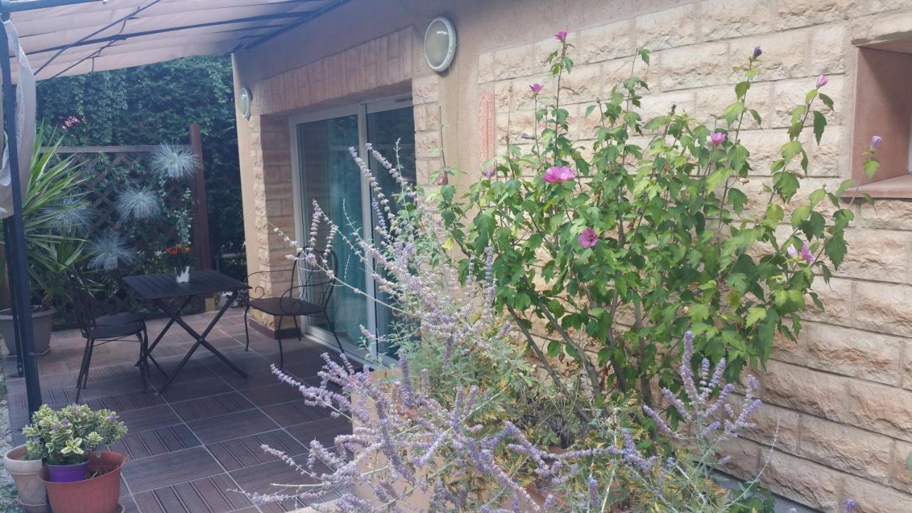 La Villa Des Violettes トゥールーズ エクステリア 写真