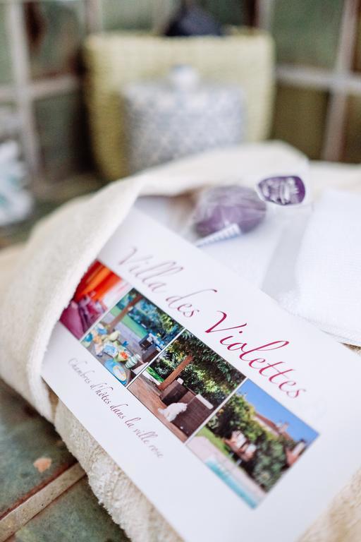 La Villa Des Violettes トゥールーズ エクステリア 写真