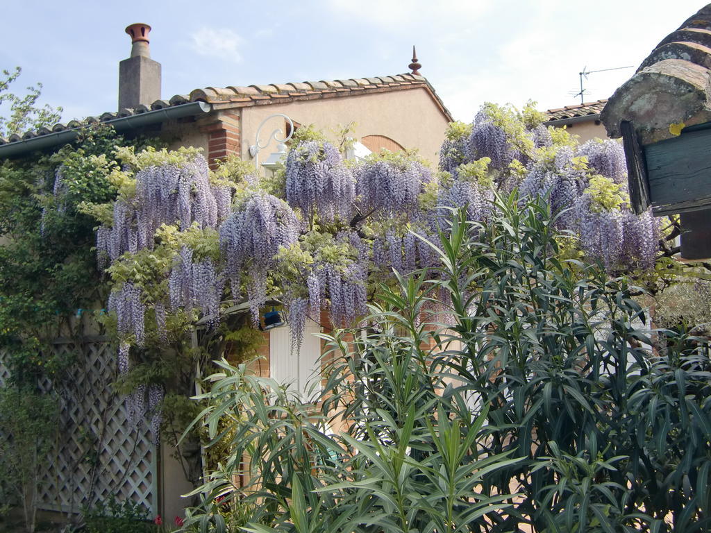 La Villa Des Violettes トゥールーズ エクステリア 写真