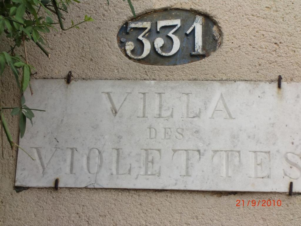 La Villa Des Violettes トゥールーズ エクステリア 写真