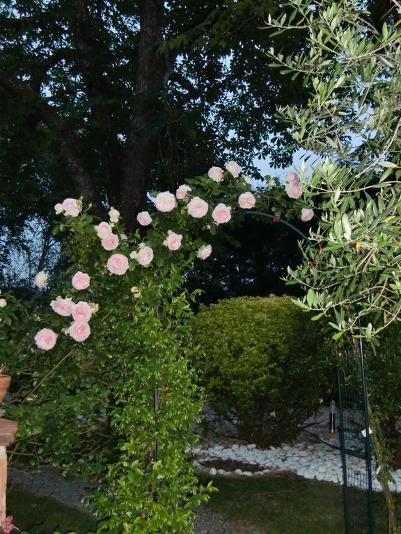 La Villa Des Violettes トゥールーズ エクステリア 写真